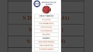 Guntur chilli and fresh Ginger export price update 01-01-2026#ginger #China #usa #veitnam #chilli
