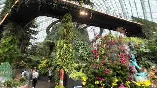 Singapore Could Forest