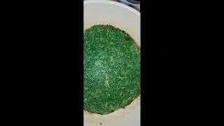Herb Omelette(Persian style) Easy & healthy Homemade Recipe