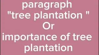 paragraph 
