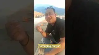 suasana kemuning sore hari