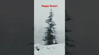 Easter in Georgia! #surprise #snow #travel #aroundtheworld #georgia