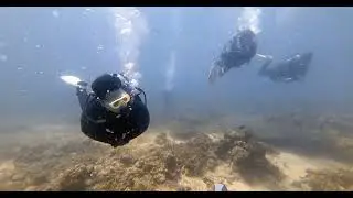 2026.01.23 (장@현님팀 , 선비강사님팀 Fun-Diving)