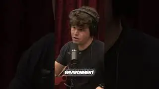 Unlocking Chess Mastery: Natural Talent and Environment
