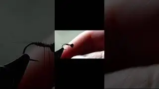 Little Jig Nymph #flytying #flytyingtutorial #flyfishfood #bug #howto #howtotieflies #flypattern