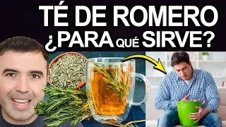 TE DE ROMERO TODOS LOA DIAS - Para Que Sirve, Como Usarlo Y Contraindicaciones