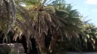 Vai Palm Beach Sitia East Crete