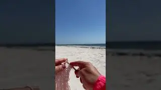 Knitting on the beach 🧶 Atlantic Ocean ❤️ Florida Life 🇺🇸 ASMR