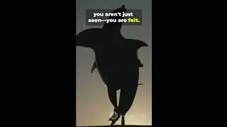 Animal Facts That Will Break Your Brain! 🧠💥 #shorts