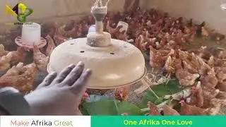 🌍 Africa Is Waiting For Her Children To WAKE UP! | The Call to Destiny