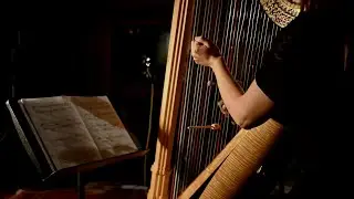 Lisa Cheney | Strange Charisma for Solo Harp with Preparations