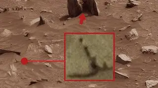 NASA's Mars Perseverance Rover Sent Latest Most Amazing Footage of Mars Life! NASA News 2026