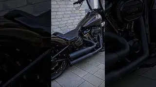 work of art😍HARLEY GLADIATOR
