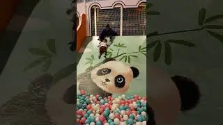 #neonpanda#cute