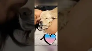 Blackpink Jisoo, Jennie and Ros&eacute; Instagram Story Update (June 19-24, 2021)