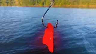 Lots of Catfish on My Crazy Catfish Bait