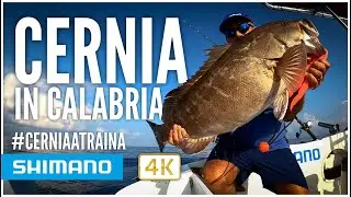 Bellissima cernia con Gino D'Agostino e Tyrnos B Trolling Lite - 4K