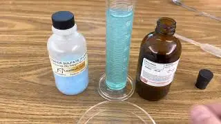 Double Displacement of Copper Sulfate & Silver Nitrate in RamZland!⚗️ CuSO4+2AgNO3→ Cu(NO3)2+Ag2SO4