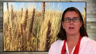 Sarah is a fifth generation farmer in Narrabri
