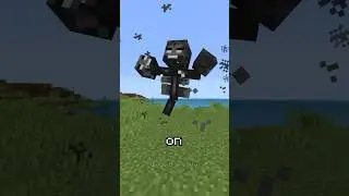 HOW TO DEFEAT THE WITHER #minecraft #minecraftbuilding #minecrafttutorial