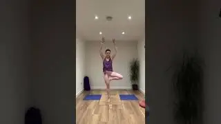 Sun Salutations, Tree Pose & Bridge Pose | Gentle Yoga for All Levels| yoga with Julie Jane