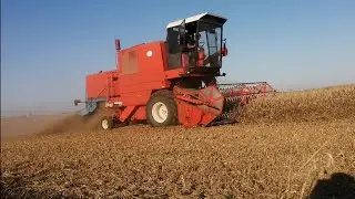 Przenżyto pod kose 2025 Bizon super z056 