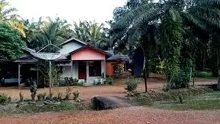 Bumi Kalimantan || melihat suasana sore di Kampung transmigrasi sunda