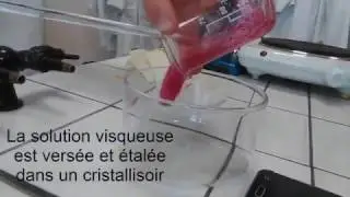 Fabriquer du Bioplastique ! Facile & Efficace