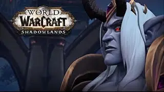 World of Warcraft: Shadowlands - Late Night Torhgast and Mythic Dungeons - Protection Paladin