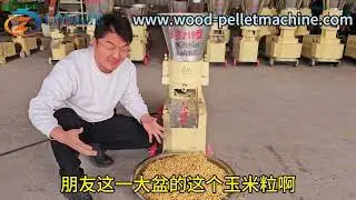 Using corn kernels to press feed pellets to raise cattle and sheep#pellets #pelletmachine #biomass