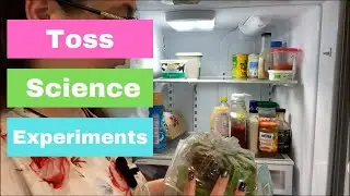 Cleaning Out My Refrigerator, tossing science experiments, and more