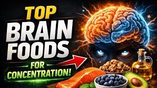 Top Brain Foods to Improve Concentration