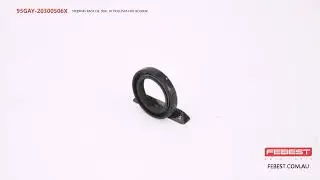 95GAY-20300506X STEERING RACK OIL SEAL 18.7X30.35X6 FOR HOLDEN