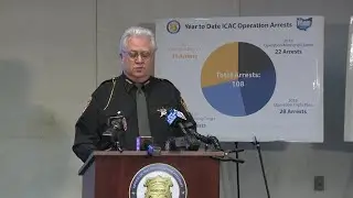 31 people arrested in undercover sting