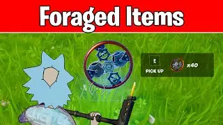 What are Foraged Items in Fortnite (Where are Foraged Items and How To Collect Foraged Items)