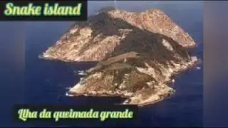 Brazil snake island in tamil