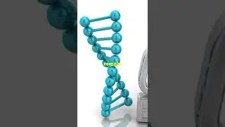 LIVE GENE EDITING?! Scientists Are Already Testing DNA Changes in Real Time!