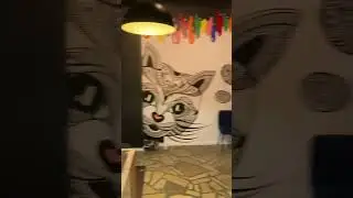 Cat cafe - Kocia kawiarnia Neko Cafe Toruń #shorts