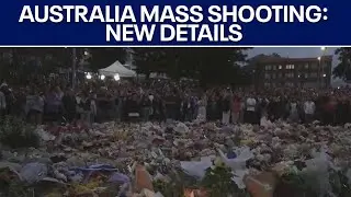 Australia mass shooting: Surviving gunman to be charged | FOX 7 Austin