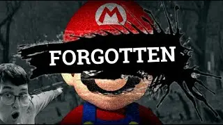 Did Everyone Forget? Mario 14: The Secret Revealed