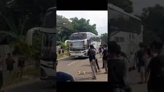 Kids Panda Baik Rasa #tripanyer #fyp #basuri #busmania #ashrafbusanyer