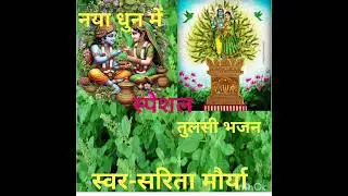 अंगनवा में तुलसी का पेड़वा 🌾🌾🌺🌿🌺🌿🌺🌿🌺🌿🌺🌿🌺🌾🌾🙏🙏