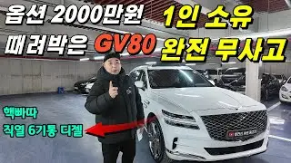 옵션2000만원 풀옵션! 1인 소유·무사고 GV80디젤 6790만원