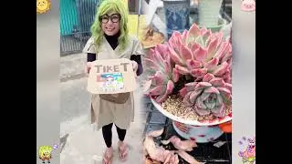 2026 pov Must-Watch Crazy Clips Compilation #humor #fypシ #pov #fyp #foryou 😍😜