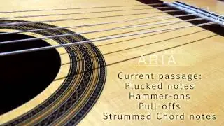 ARIA Sounds Classical Nylon String Guitar Kontakt Instrument/VST