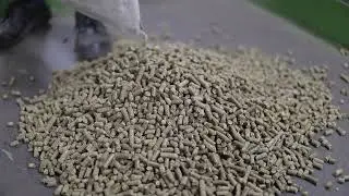 NTPC Biomass Co Firing  Setup