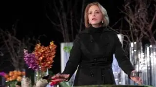 Meryl Snow-  Speaker . Sales Trainer . Consultant