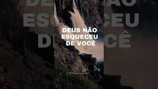 DEUS N&Atilde;O ESQUECEU DE VOC&Ecirc;! 🙌💛 #DeusFiel #Ora&ccedil;&atilde;oDeEsperan&ccedil;a 🕊️