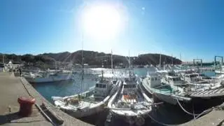 【ＶＲ恐怖動画】360度カメラの三脚が風で倒れてクラッシュする動画