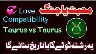 Taurus vs Taurus Love Compatibility || Taurus Love Match in Urdu || Syeda Khanam Bukhari 